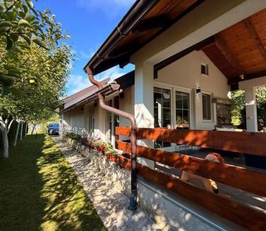 Mali Radic House | Lahor