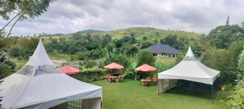 Sagana Hotel | LAIBON GARDENS & CAMPSITE, Sagana