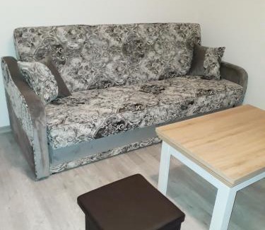 Palanga Apartment | Laimos vila