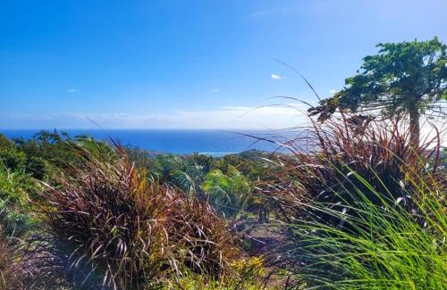 Grande Montagne House | Lakaz Roussette - Large 4BR Villa with King Beds