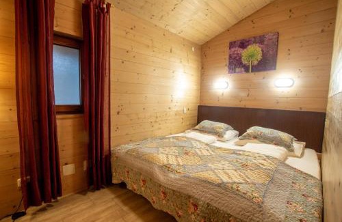 Zell am See Apartment | Lake and Mountain View