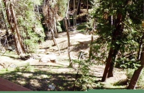 Lake Arrowhead House | Lake Arrowhead - Dreamin' 3 Bedroom Home by RedAwning