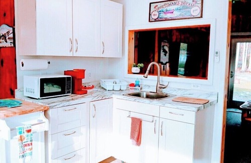 Harrison Cottage | LAKE CABIN! Stocked, Wifi Beach Kayaks, Firepit, Trails, Creek Washer Dryer, Pet