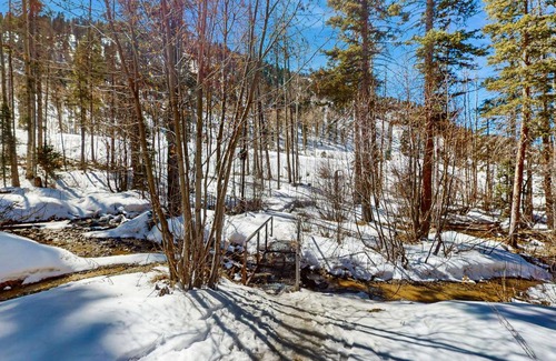 Taos Ski Valley Apartment | Lake Fork 7