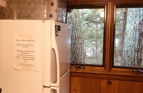Center Harbor Cabin | Lake Front Cabin On Golden Pond (Squam Lake)