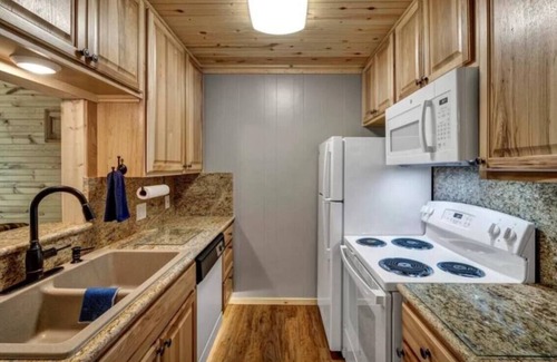 Kingsland Condo | Lake LBJ Retreat: Cozy 1BR Condo with Dock Access & Grill