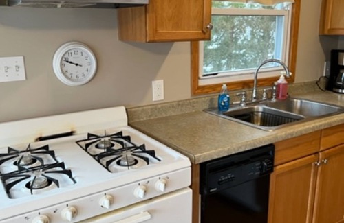 Paddock Lake House | Lake property with much to offer!