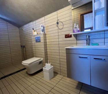 Sapanca House | Lake stone house