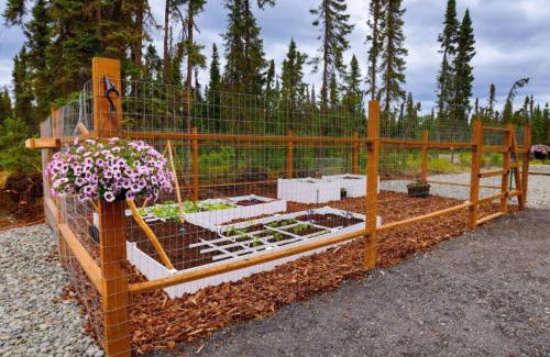 Kenai House | Lake Trout, Cabin 2 at Lower Kenai Lodge