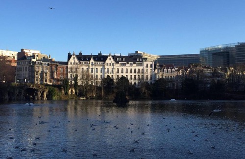 Wijk van de Squares Apartment | Lake view apartments