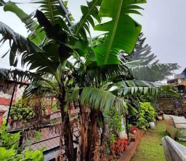 Gureghar House | Lake view hotel