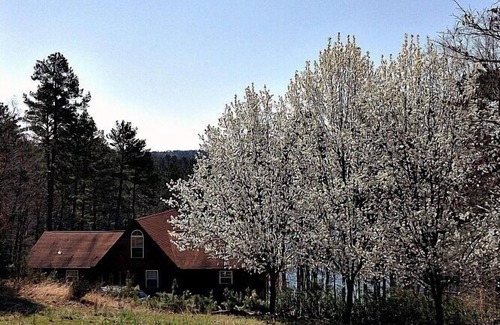 Drasco Cabin | Lakefront Cabin in Quiet Cove on Greers Ferry Lake