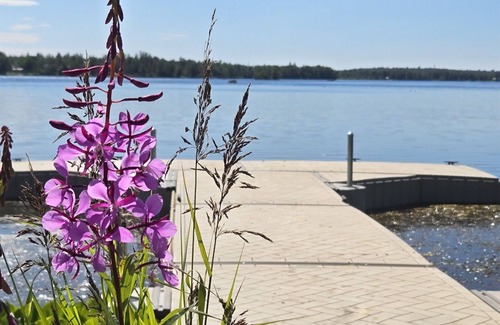 Wasilla Cottage | Lakefront Cottage in the heart of Wasilla