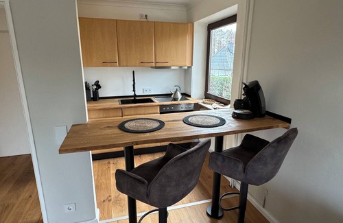 Ponitz am See Apartment | Lakefront Studio