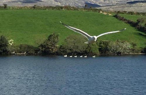 Bantry House | Lakehouse