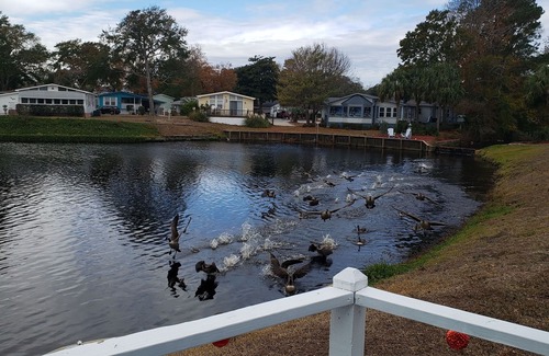 Garden City House | Lakeside, Sunny Picturesque 3 Bed 2 Bath + Q Sleeper Sofa Amazing House + Golfcart