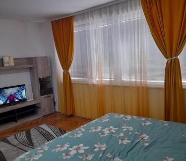 Valjevo Apartment | Lala