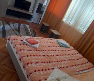 Valjevo Apartment | Lala