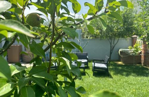 Qerek Apartment | Lalzi Rental apartments