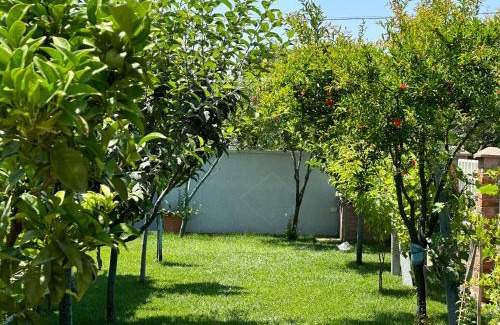 Qerek Apartment | Lalzi Rental apartments