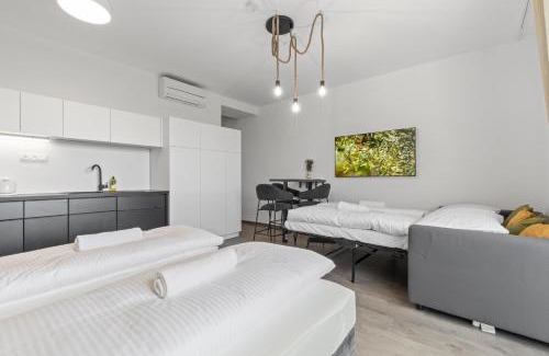 Old Town Apartment | LAM Olive - AC - Castle View