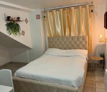 Sannois Apartment | L’amazone