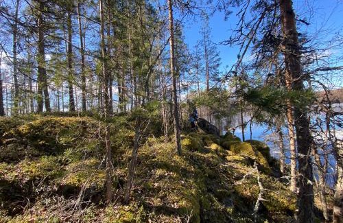 Oravi Other | Lammassaari