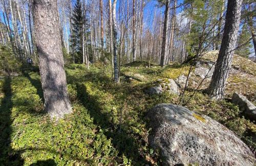 Oravi Other | Lammassaari