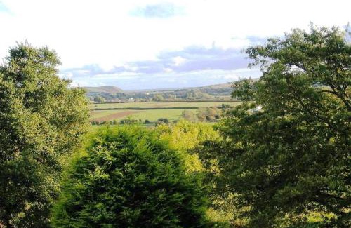 Lamphey House | Lamphey Studios