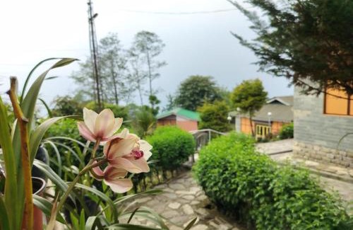 Pelling Hotel | Lamthang Retreat Premium cottage