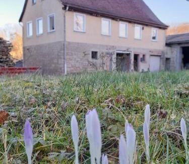 Ebertsbronn House | LAND-Häusle
