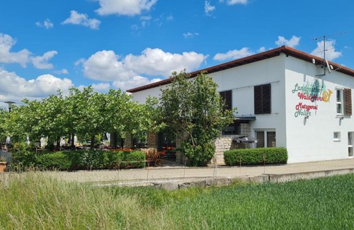 Bernstadt Hotel | Landgasthof Waldhorn