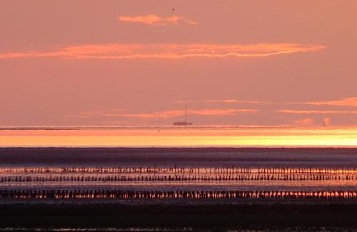 Wehe-den Hoorn Bed & Breakfast | Landgoed Wilgenheerd