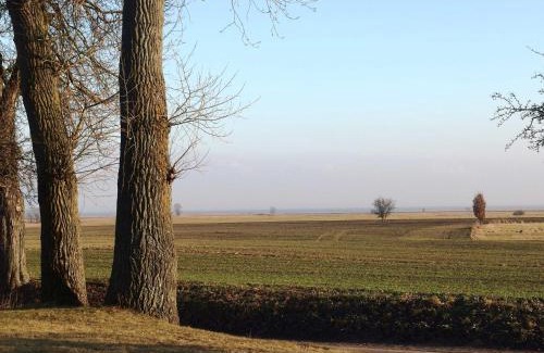 Stolpe auf Usedom House | Landhaus am Haff Wohnung B 8