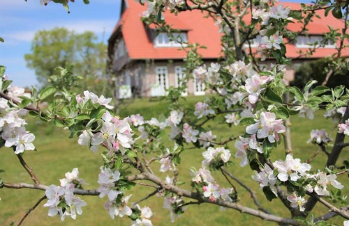 Muritz Apartment | Landhaus Fünfseen