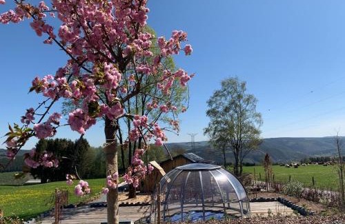 Trois-Ponts House | Landhaus mit Hallenbad