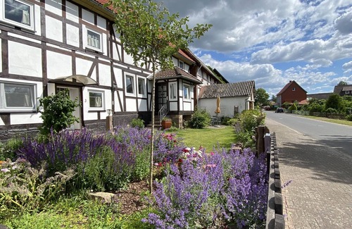 Gewissenruh Apartment | Landhaus Wahmbeck - Holiday apartment - directly on the Weser cycle path