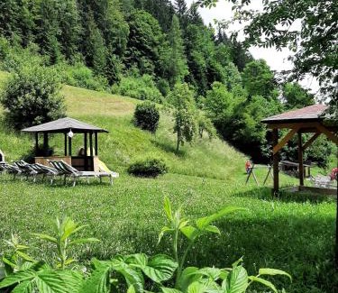 Sankt Johann im Pongau Apartment | Landhof Kreuzsalgut