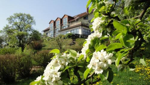 Molsdorf Hotel | Landhotel Burgenblick