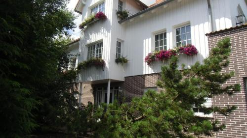 Oelshausen Hotel | Landhotel-Restaurant Schwalbennest