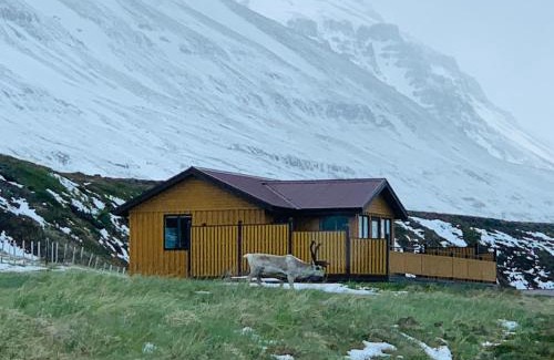 Seydisfjordur House | Langahlid Cottages & Hot Tubs