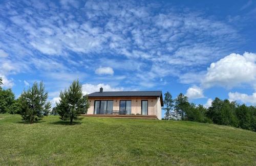 Alytus county House | Lapės Kalva