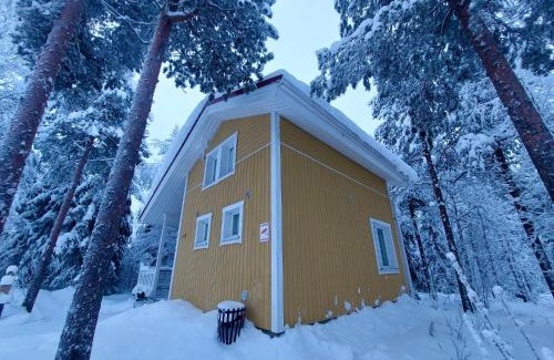 Vikajarvi Apartment | Lapland Forest Lodge