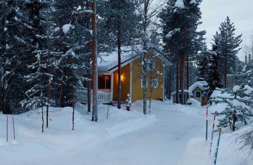 Vikajarvi Apartment | Lapland Forest Lodge