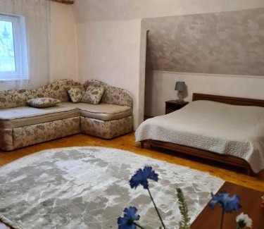 Solochyn House | Lara