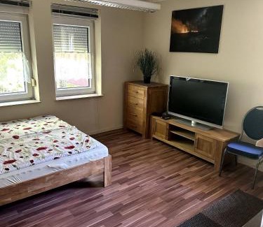 Queis Apartment | Large accommodation for up to 18 people near Halle Leipzig with Pool Table