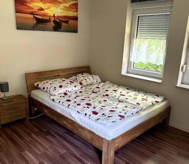 Queis Apartment | Large accommodation for up to 18 people near Halle Leipzig with Pool Table