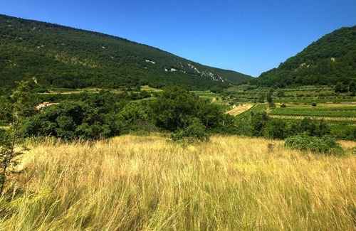 Hrastovlje Apartment | Large Apartment in Hrastovlje with Private Swimming Pool