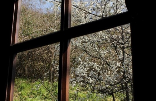 Graissessac Cabin | Large Cabin located between two mountains