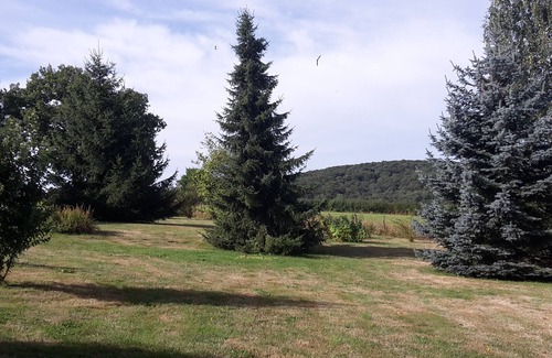 Bussieres (Yonne) House | Large charming house
